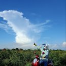 대박오토바이 이미지