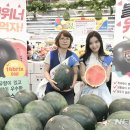 위너유통