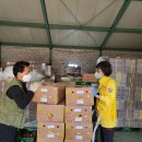 롯데과일 이미지