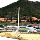 수장리목장 네이버블로그
