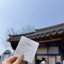 장승마을도자기민박 | 안동 하회마을 완벽 정리 | 주차·입장료·셔틀 꿀팁 + 벚꽃 시즌 솔직 후기