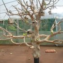 애완동물원 이미지