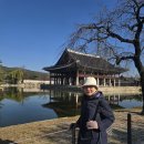 경복궁 &amp;민속박물관 11/28(금) 이미지