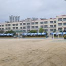 관교초등학교 이미지