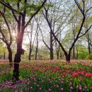 커피그레이트