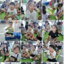 용인대 꿈나래 태권도 이미지