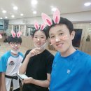용인대 현대 태권도 이미지