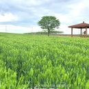 국립종자관리소 이미지