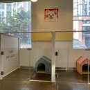 까비네펫살롱 이미지