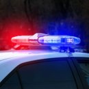 청원사료 이미지