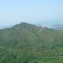 영남초교 이미지