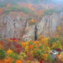 제 90차 정기산행 구미 금오산 (단풍산행) 이미지