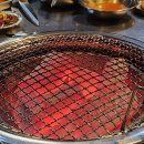구음 정기연주회 | [공연][독서][맛집] 벚꽃의 꽃말이 중간고사라면...무화과의 꽃말은?
