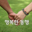 인셀덤강남중앙대리점 이미지