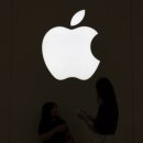 애플 이미지