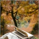 스노우의원 이미지