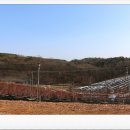 음지농장 이미지