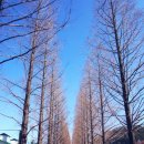 콧바람여행사 이미지