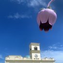 (유)여수렌트카 네이버블로그