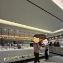 인천공항 스카이라운지 이용방법 총정리!(신용카드 무료이용, 위치)