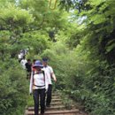 계원군묘 및 신도비 이미지