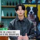 펫365동물병원 이미지