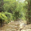 산골흙집민박 이미지