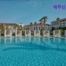 사박이 | [제주도 고급 호텔/추천/후기] 제주신라호텔 제주도 고급 호텔 추천