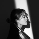 바이올린하우스 이미지
