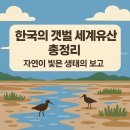 [한국 문화] 세계기록유산으로 만나는 한국의 이해 1 | 한국의 갯벌 세계유산 총정리｜자연이 빚은 생태의 보고