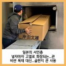 거적보다 더 못한듯. 이미지