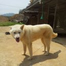 대산실업 이미지