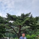 주주산방 | [원주 치악산 주주산방] 원주 치악산 주주산방에 힐링하러 가다