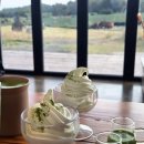 태수목장 | 제주도 말차라떼 맛집 '수망다원' 녹차밭 힐링뷰 후기