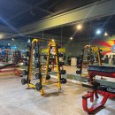 본앤머슬 이미지