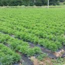 경희청정한의원 이미지