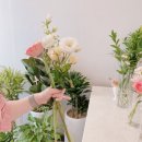 신월동167 이미지