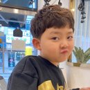 로이 미장원