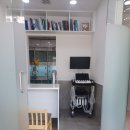 반곡동 작은동물병원 | 원주반곡동 작은동물병원