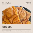 붕메리카노