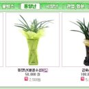 영산포농협장례식장 이미지