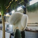 디스트릭트커피 이미지