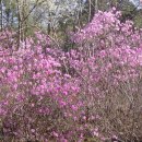 아름농장 이미지