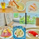 마타네식당 | 2년 전 감동 그대로! 다시 찾은 스시마타네 내돈내산 솔직 후기