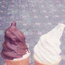 모듬촌닭 이미지