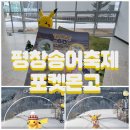 평창송어종합공연체험장 | 평창송어축제 포켓몬고 겨울축제 이벤트 정리 - 평창 로케이션배경 피카츄, 사철록, 이로치, 현장이벤트