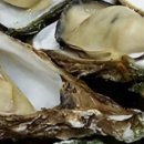 함양흑염소 이미지