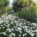 신등중학교 이미지