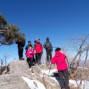 대덕초교 이미지