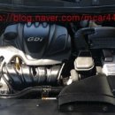 비아매일카 이미지